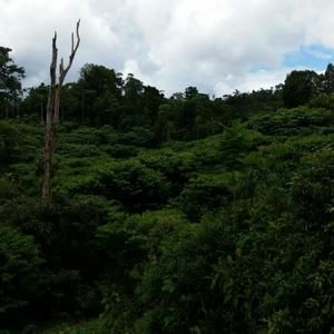 Meet your Posher, Dennis